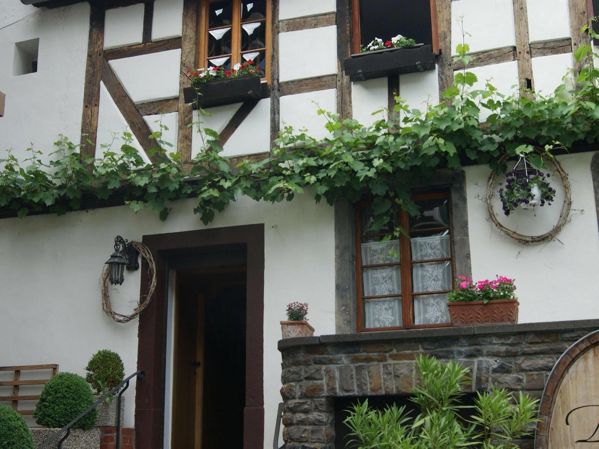 Hotel Weingut Dehren Ellenz-Poltersdorf Exterior foto