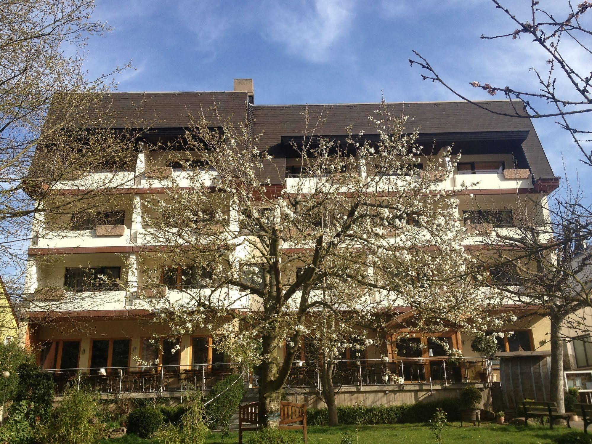 Hotel Weingut Dehren Ellenz-Poltersdorf Exterior foto